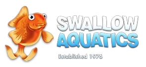swallowaquatics.co.uk
