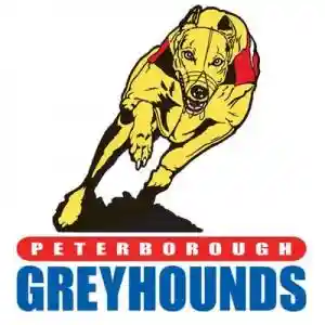 peterboroughgreyhounds.com