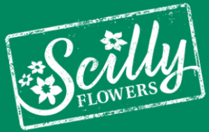 scillyflowers.co.uk